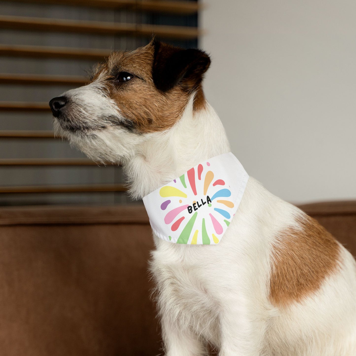 Custom Pet Bandana Collar