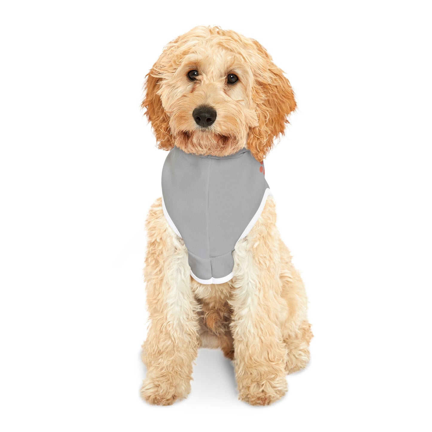 Personalized Pet Hoodie