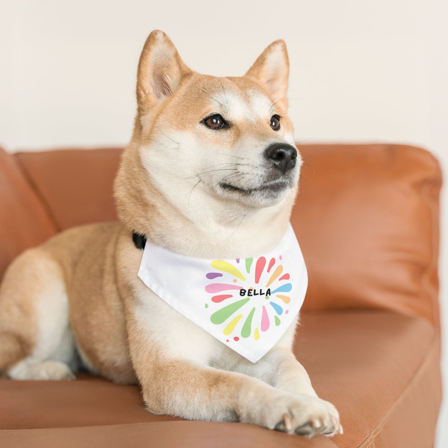 Custom Pet Bandana Collar